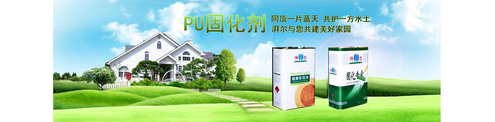 湃爾固化劑